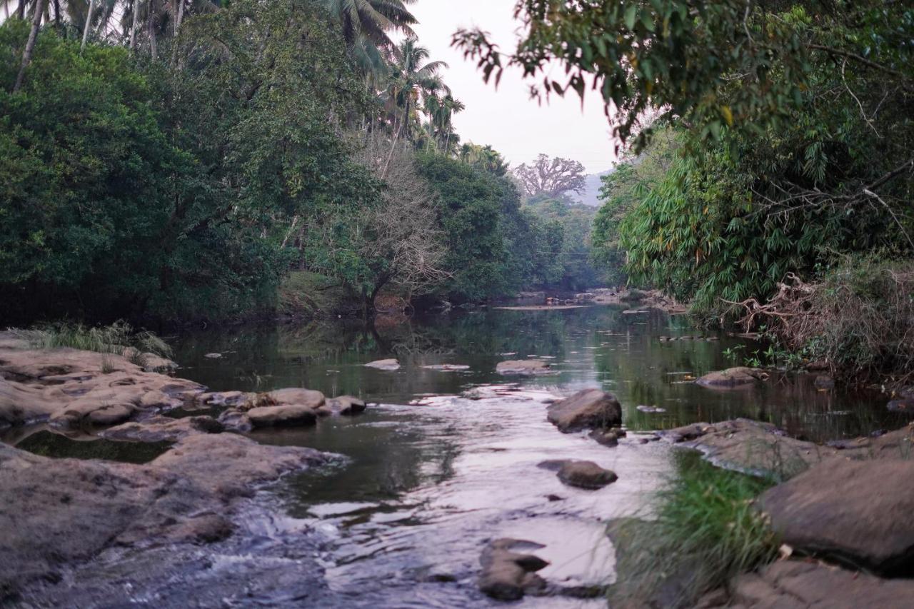 Athirapilly On The Rocks Hotel Athirapalli Kültér fotó