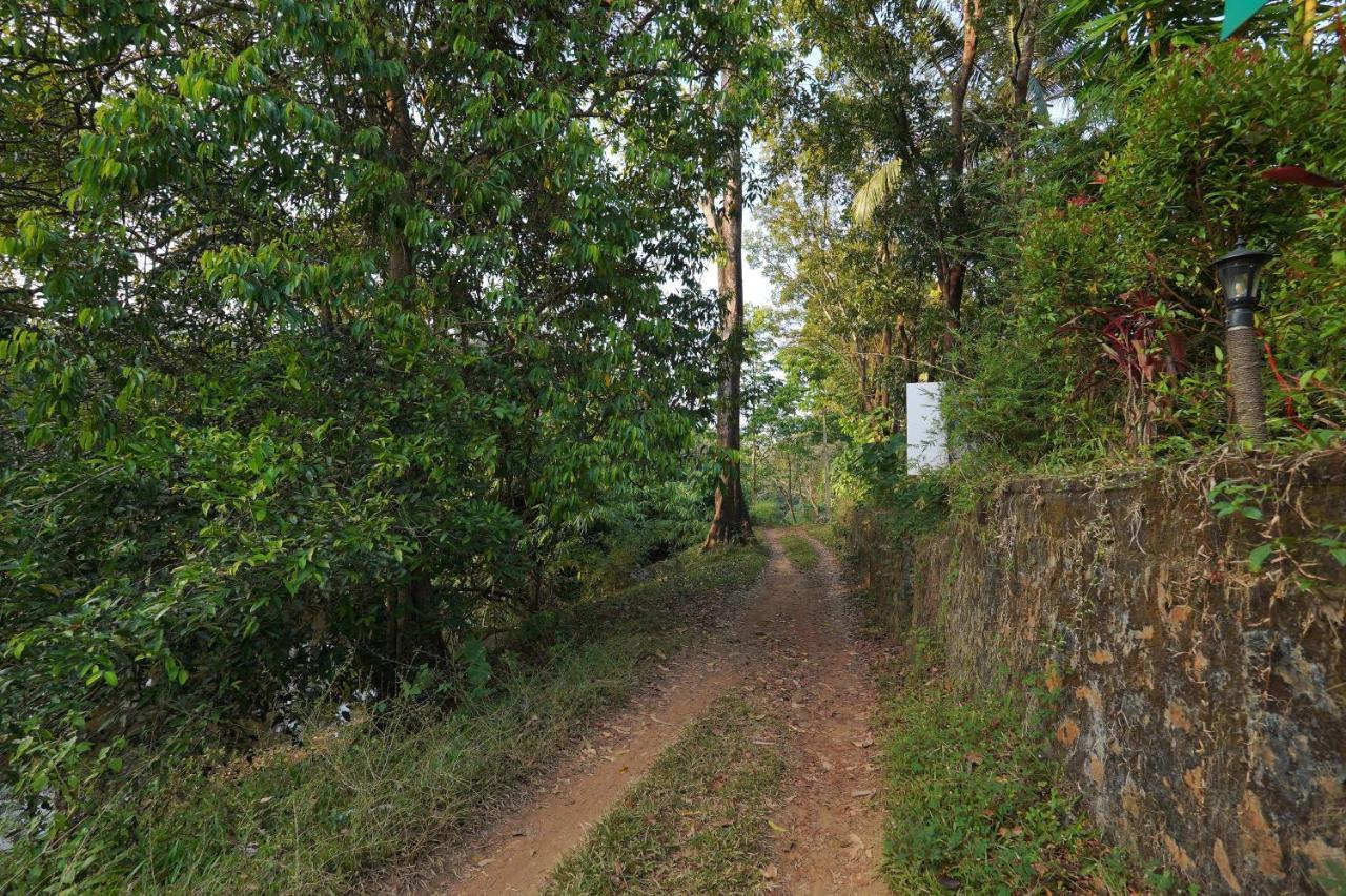 Athirapilly On The Rocks Hotel Athirapalli Kültér fotó