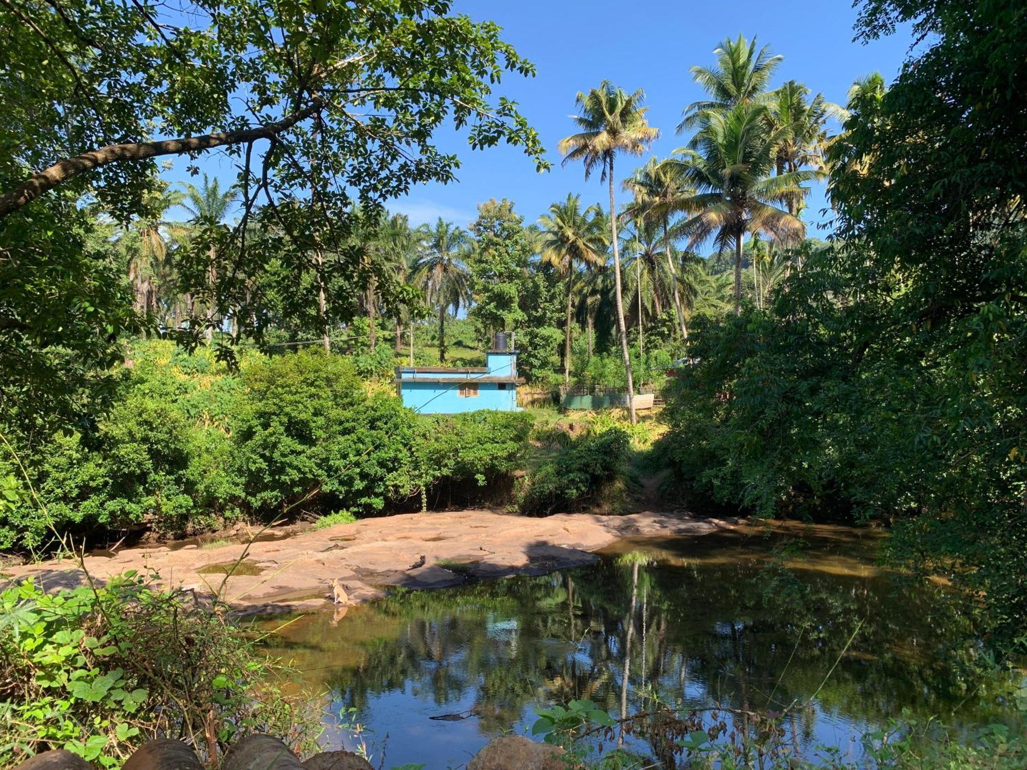 Athirapilly On The Rocks Hotel Athirapalli Kültér fotó